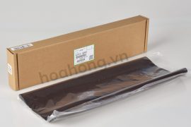 Băng tải Toshiba E555/655/556/656 - CET